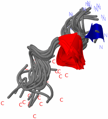 Image NMR Structure - all models