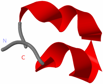 Image NMR Structure - model 1