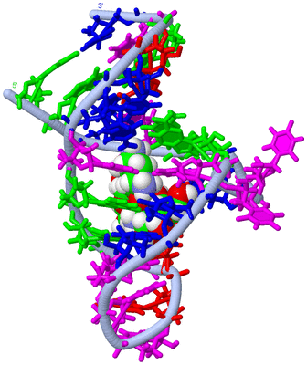 Image NMR Structure - model 1