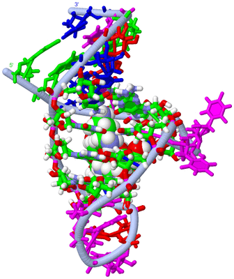 Image NMR Structure - model 1, sites