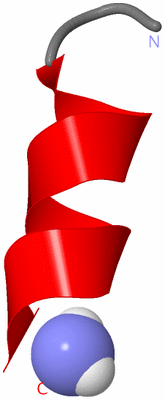 Image NMR Structure - model 1