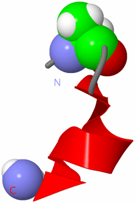 Image NMR Structure - model 1