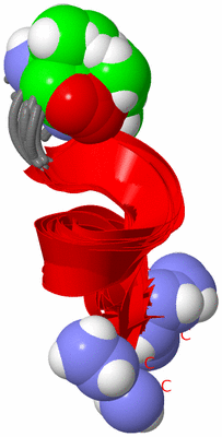 Image NMR Structure - all models