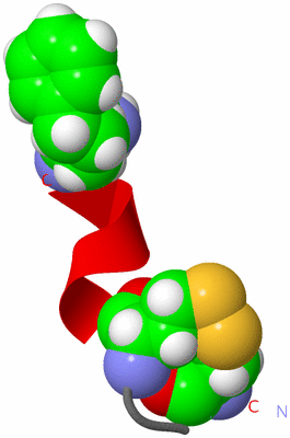 Image NMR Structure - model 1