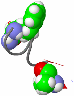 Image NMR Structure - model 1