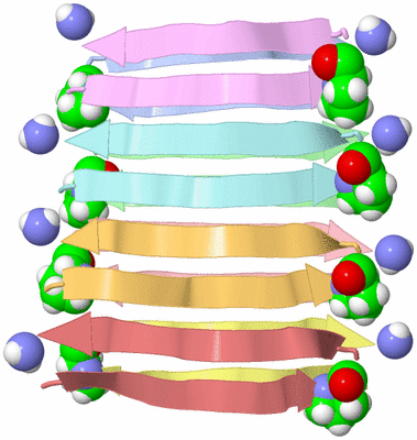 Image Asymmetric Unit