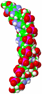 Image NMR Structure - model 1