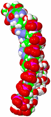 Image NMR Structure - all models