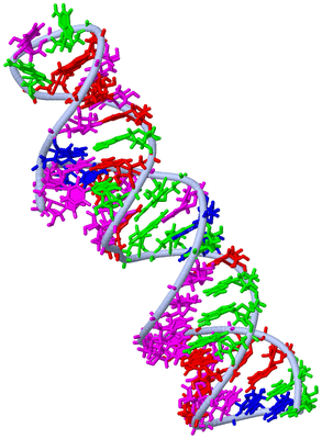 Image NMR Structure - model 1