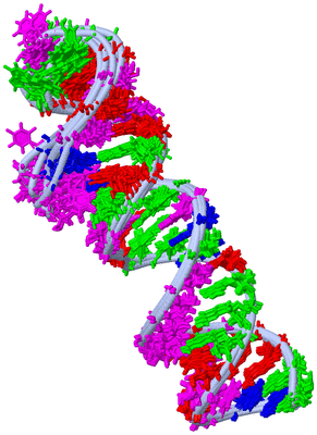 Image NMR Structure - all models