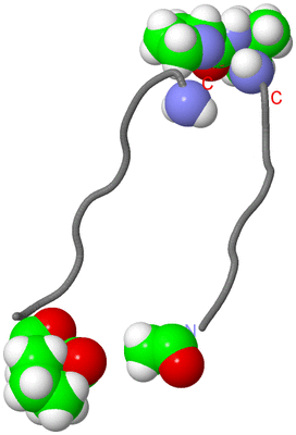 Image NMR Structure - model 1