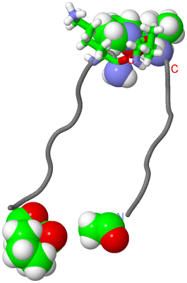 Image NMR Structure - model 1, sites