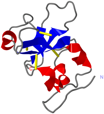 Image NMR Structure - model 1