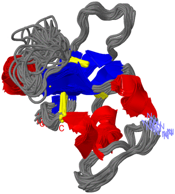 Image NMR Structure - all models