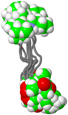 Image NMR Structure - all models