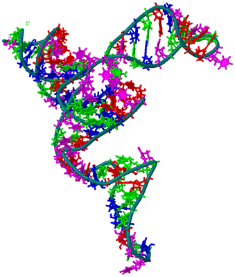 Image NMR Structure - model 1