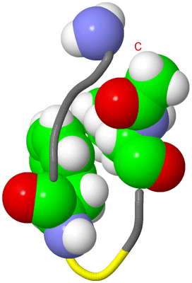 Image NMR Structure - model 1