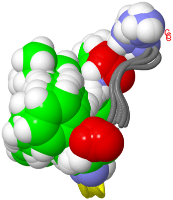 Image NMR Structure - all models