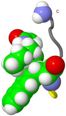 Image NMR Structure - model 1