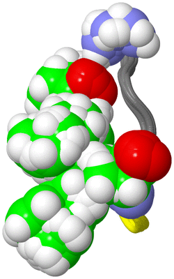 Image NMR Structure - all models