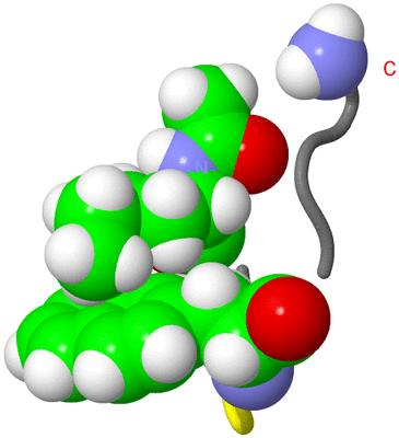 Image NMR Structure - model 1