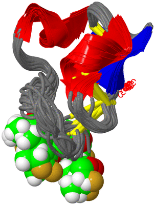 Image NMR Structure - all models