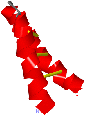 Image NMR Structure - model 1