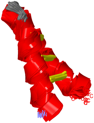 Image NMR Structure - all models