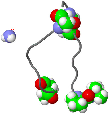 Image NMR Structure - model 1