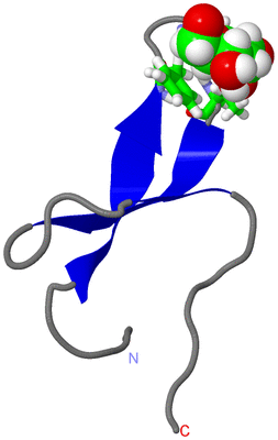 Image NMR Structure - model 1, sites