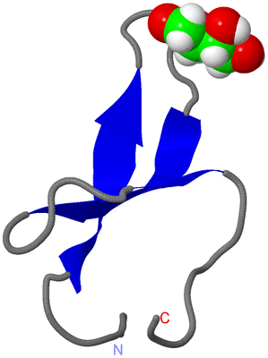 Image NMR Structure - model 1