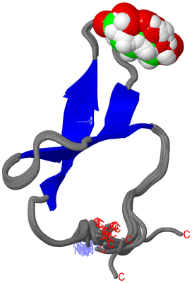 Image NMR Structure - all models