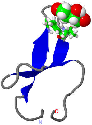 Image NMR Structure - model 1, sites