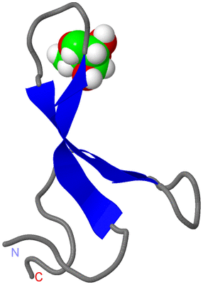 Image NMR Structure - model 1