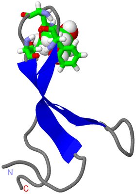 Image NMR Structure - model 1, sites