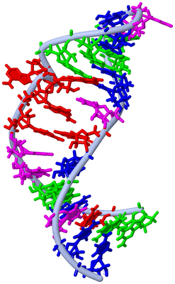 Image NMR Structure - model 1