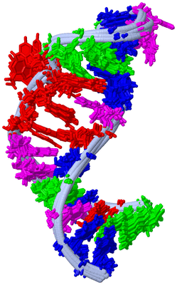 Image NMR Structure - all models