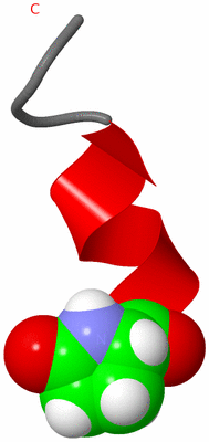 Image NMR Structure - model 1