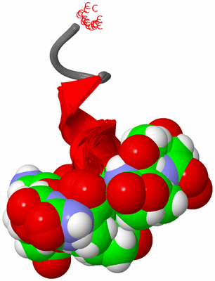 Image NMR Structure - all models