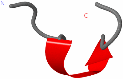 Image NMR Structure - model 1