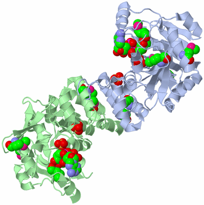 Image Biological Unit 1