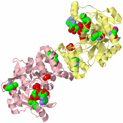 Image Biological Unit 2