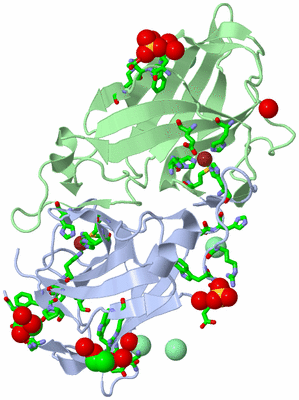 Image Asym./Biol. Unit - sites