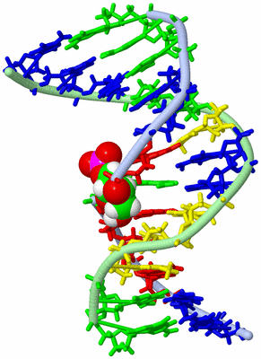 Image NMR Structure - model 1