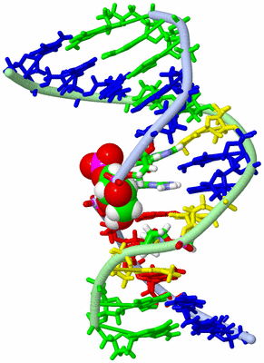 Image NMR Structure - model 1, sites