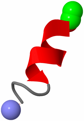 Image NMR Structure - model 1