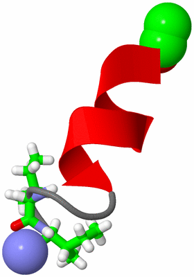 Image NMR Structure - model 1, sites