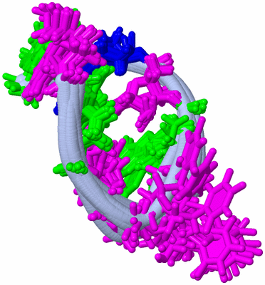 Image NMR Structure - all models