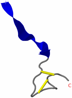 Image NMR Structure - model 1