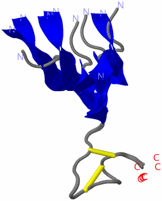 Image NMR Structure - all models